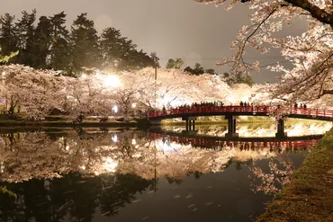 弘前さくらまつりの魅力とは？見どころ、楽しみ方、桜の種類を徹底解説！（弘前公園）日本一の桜、弘前公園の魅力を紐解く