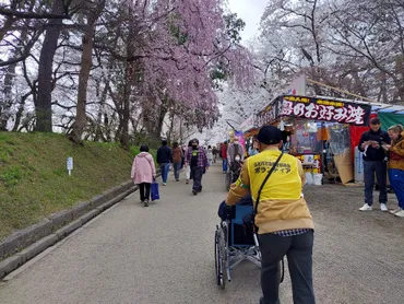 車いすで巡る弘前さくらまつり～ボランティアとして参加してみて 