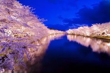 弘前城・桜の絶景ベスト５！弘前公園のおすすめ花見スポット 