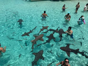 2021年最新】バハマへ行くなら必ず訪れたいオススメ観光スポット27選